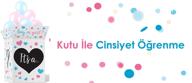 Kutu İle Cinsiyet Öğrenme